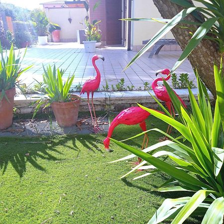 Апартаменти Casa Giardino Сан-Бенедетто-дель-Тронто Екстер'єр фото
