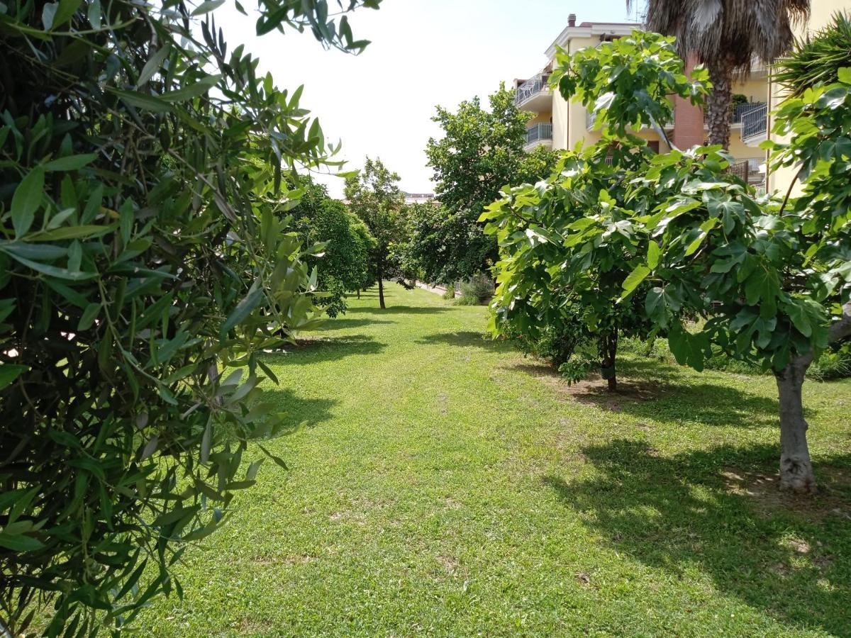 Апартаменти Casa Giardino Сан-Бенедетто-дель-Тронто Екстер'єр фото